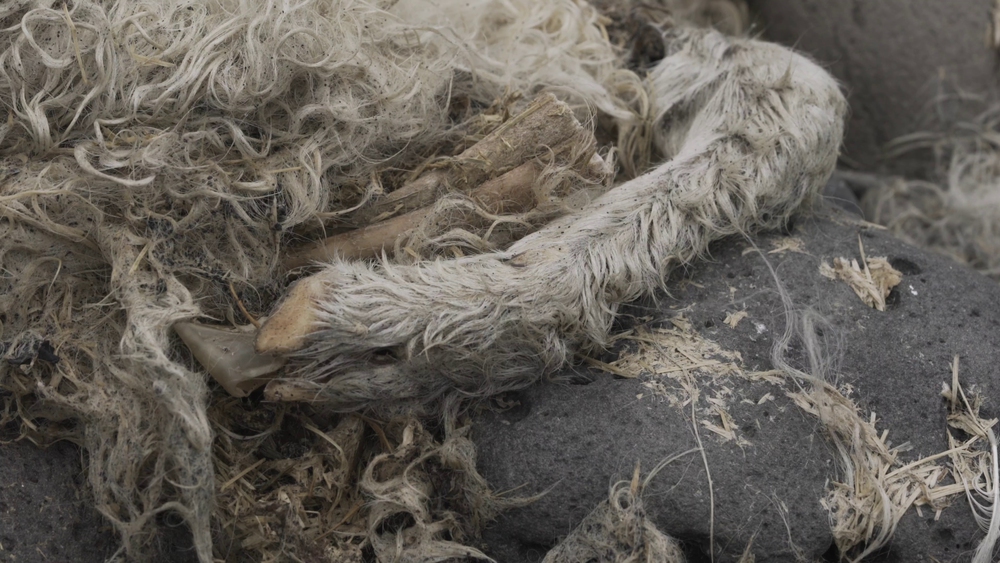 Elegy for the Silent (with Torbjørn Rødland)